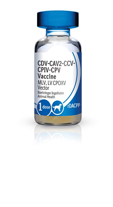 what is cdv-cav2-cpiv-cpv vaccine for dogs|Canine Vaccination Guidelines: Key Points for .